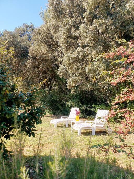 Studio Avec Jardin Entre Aix-En-Provence, Luberon Et Verdon Peyrolles-en-Provence Bagian luar foto
