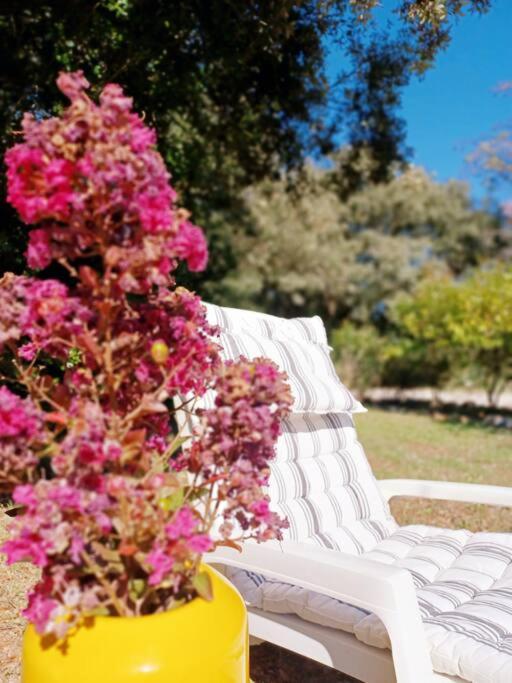 Studio Avec Jardin Entre Aix-En-Provence, Luberon Et Verdon Peyrolles-en-Provence Bagian luar foto